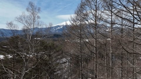 clip-3999840643-mountain-range-snow-on-top-trees-foreground