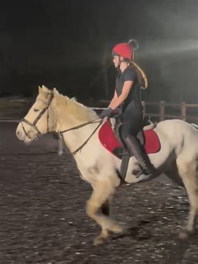 Ella and the Equines: First Lesson Back!