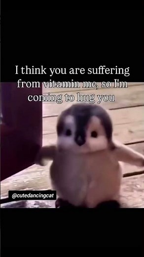 Hug me #funny #funnymemes #shorts #relatable #hug #meme #memes #memefunny #love #shorts #youtube #yt