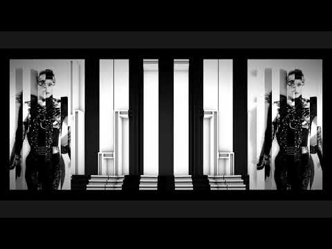 Madonna - "Vogue" backdrop video MDNA Tour