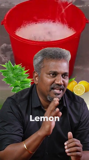 Spotted rats at home? Don't ignore the signs.