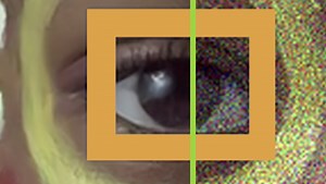 Nvidia Creates AI That Can Significantly Reduce Noise and Erase Watermarks From Photos