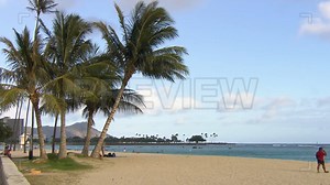 Beautiful Beach With Palm Trees Stock Video
