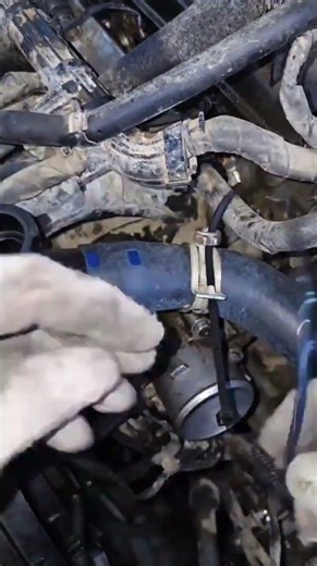 Proceso de instalación de la abrazadera de la manguera del radiador #shorts