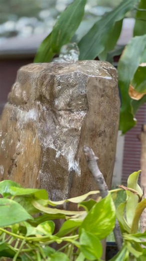 It’s not stone, but it sure fools the senses. 🔮✨ This basalt-style bubbler is hand-sculpted concrete, built for Tampa Bay’s most discerning outdoor spaces. No shortcuts. No templates. Just hand-crafted excellence. Because luxury isn’t bought — it’s built. This isn’t just a water feature. It’s movement. Sound. Presence. A living sculpture that transforms your landscape into something calm, alive, and unmistakably yours. Boulder Legacies Decorative Concrete at its Finest. Welcome to the Top. #Bou