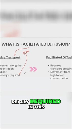 Facilitated Diffusion: Passive Transport Explained in Seconds! #shorts
