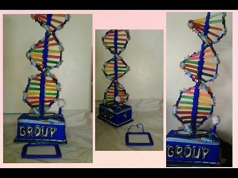 Tips and Tricks(DNA project model)HOW TO MAKE DNA STRUCTURE MODEL..STEP BY STEP😇😆👌science