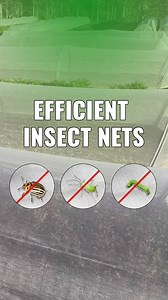 10K views · 13 reactions | ⭐️ Get a bumper harvest, Use insect net ...