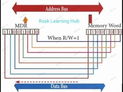 11-Computer Science Chapter-3 (Part-2)Computer Organization
