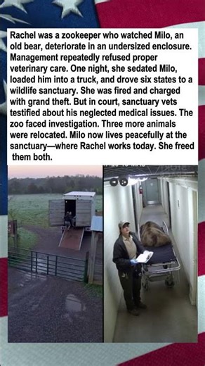 Zookeeper Drove Bear Six States to Freedom