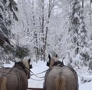Eagle River is one of Wisconsin's secret stashes! When you go, book a weekend stay at Wild Eagle Lodge and sit back to watch all your winter dreams come true.❄ To make a reservation click: https://bit.ly/3dseany . [Video by George Murray] | Discover Wisconsin