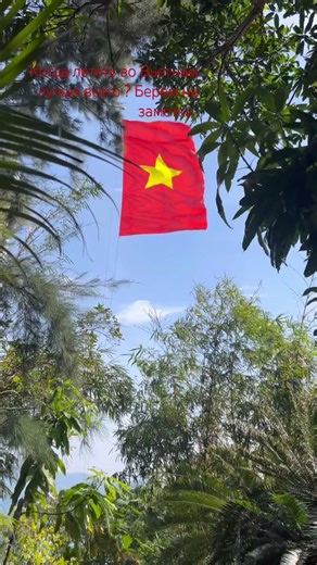 Лучшее время года для поездки в 🇻🇳#вьетнам #азия #vinpearlland #муйне #дананг