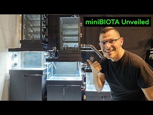 Unveiling miniBIOTA: World's First Modular Closed Ecosphere