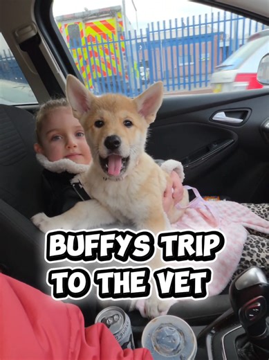 Me and Rosie took Buffy to the Vet 🥰 #puppydog #puppy #pup #cute #puppies