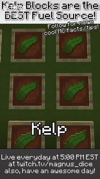 Best Fuel Source in Minecraft: Dried Kelp vs. Coal