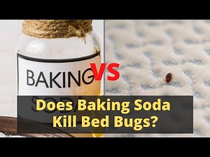 Does BAKING SODA Kill Bed Bugs? The REAL TRUTH