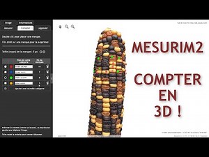 Comptage 3D sur Mesurim2