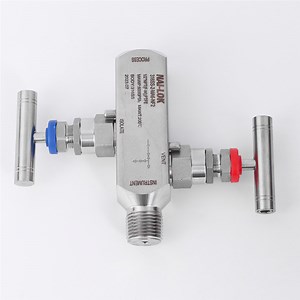 [Hot Item] Nai-Lok SS316 1/2" 3/4" Male and Female NPT Multi Port Gauge Root Valves for Oil Ang Gauge