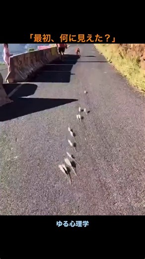 ゆる心理学 on Instagram: "📌 概要 人は動画を見ているとき、 実際の映像そのものではなく、脳が補完・予測した映像を見ている。 そのため、 止まっているものが動いて見えたり、 一瞬の出来事を全く違う内容として認識してしまうことがある。 これは目の問題ではなく、 脳が「理解を早めるため」に起こす錯覚である。 📌 心理学的意義 人間の脳は、 すべてを正確に見るより 素早く意味を理解することを優先している。 そのため、 文脈・経験・思い込みを使って 「それっぽい映像」を自動的に作り出す。 この仕組みは日常生活では役立つが、 動画・SNS・情報の世界では 簡単に勘違いを生み出す原因にもなる。 人の心や行動の「なんで？」をゆる〜く解説🧠 毎日ちょっとだけ、心の不思議に気づけるかも👀 💡「へぇ！」を知りたい人はフォローしてね✨"