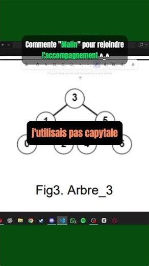 Mon élève utilise Capytale au lieu de VS Code 🤮 - Spécialité NSI Terminale