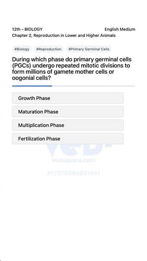Multiplication Phase in Reproduction Explained