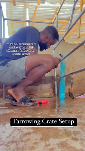 37 reactions · 3 comments | Farrowing crate setup #pigfarming #jaxfarm | Jax Farm | Facebook