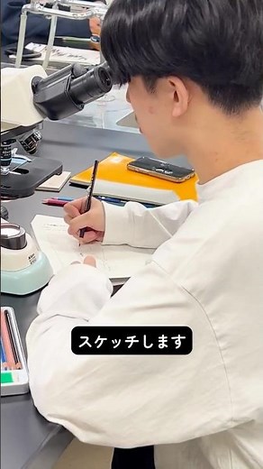 北大理学部高分子・学生実験紹介④ 免疫組織化学染色法