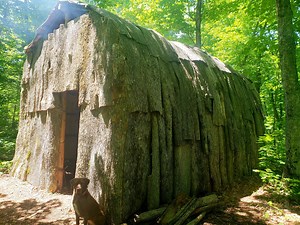 Bushcraft Building a Longhouse Shelter Start to Finish Ted Baird YouTube 👉 https://www.youtube.com/user/canoebeyondted Ash Bark was used and the wood later milled for other projects. Nothing was wasted. The Ash Trees were used before destroyed by the Emerald Ash Borer My Instagram 👉 https://www.instagram.com/ted.baird/?hl=en Built with Jim Baird - Adventurer & My Self Reliance | Ted Baird Outdoors