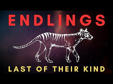 ENDLINGS (Part 2) - The Last One Before Extinction