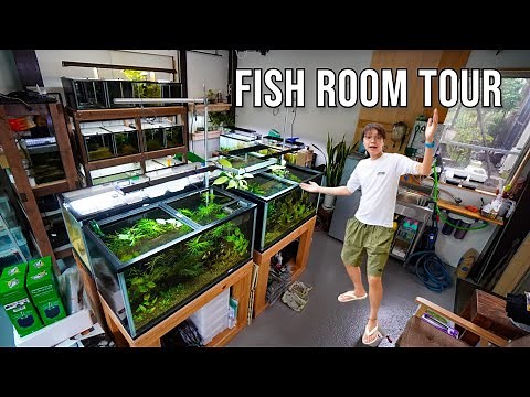 My 2023 FISH ROOM TOUR