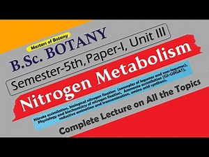B.Sc. Botany 5th Semester | Paper I, Unit III: Nitrogen Metabolism | Complete Lecture