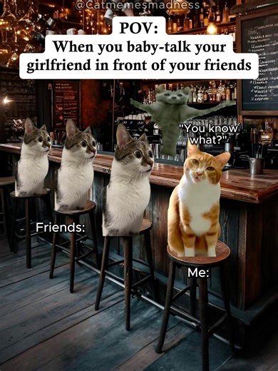 When you baby-talk your girlfriend in front of your friend #catmemes #fyp #relatable