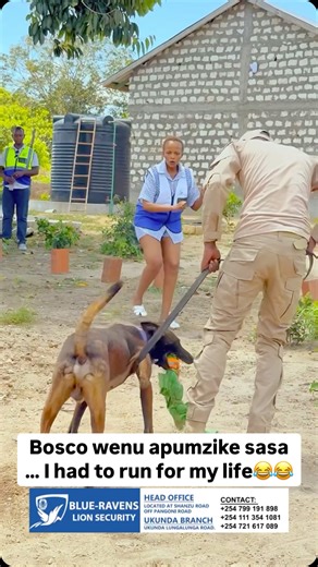 Hii ndio dawa ya kila mwizi hata terrorist. It’s time for our local BOSCO to rest and leave these trained machineries to work. We respond to Alarms, CCTV installation, monitoring, Security backup and Dog handling/training..👮‍♂️🚨 Your safety is our mission. Call us today on 254713666622 | Mis Mueni