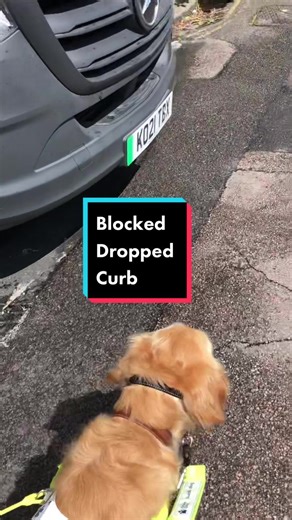 GuideDogAvaandAmy (@guidedogavaandamy) - Blocking dropped curbs puts pedestrians at risk. Don’t do it, even for a few minutes. #guidedog #blind #servicedog