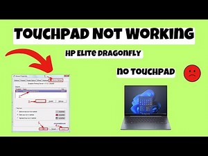 HP Elite Dragonfly Touchpad Not Working issue {Easy Fix}