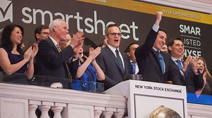 What is an IPO?