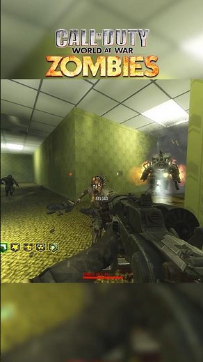 Panzer Soldat in Call of Duty World at War!