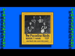 Paradise Birds - Bekiek 't Maar
