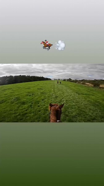 zeus's gear change when the beat drops. I think his thoroughbred side from his mother came out to play #fyp #horsesoftiktok #irishsportshorse