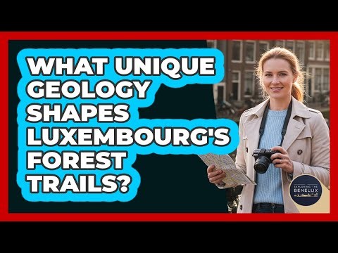 What Unique Geology Shapes Luxembourg's Forest Trails? - Exploring The Benelux