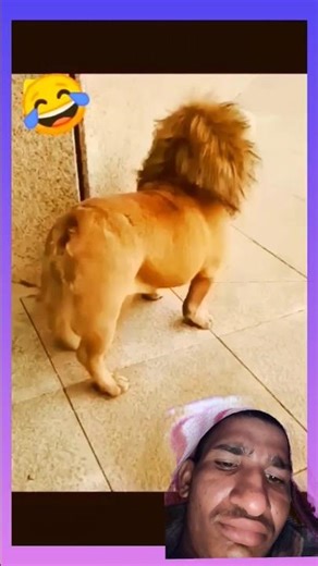 #short/Funny video💥