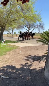 17K views · 1.1K reactions | Congratulations to our four newest Mounted Patrol officers! Officer Chris Clark, Officer Shelbi Rose, Officer Moriah Pollach and Reserve Officer Andre Ramos.  | Fresno Police Department | Facebook