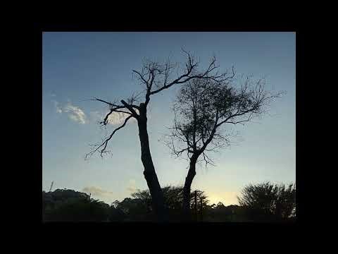 Pilgrimage [ solo piano ]