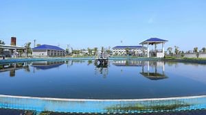 [Hot Item] Small Waste Water Treatment Plant Sewage Treatment Machinery