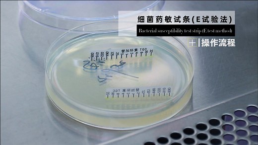 细菌药敏试条（E试验法）