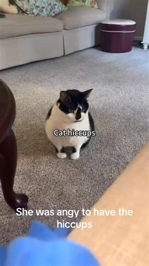 catifyco on Instagram: "🥹"