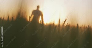Man Agronomist Farmer Walking Through Wheat Field At Sunset Golden Hour Male Rear View Agriculture Celestial Biblical Vision RED 8k Slow Motion