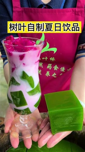 夏天的清凉藏在这神奇的树叶里🍃#手工自制美食#神仙豆腐 #豆腐柴 #三农#乡村味道