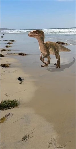 The Bird Never Saw Echo Coming! 🦖🏖️ | JW Alive