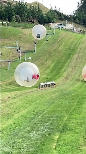 Zorbing, New Zealand. Such a fun way o blow NZD$35. #newzealand #zorbing #travelwithkids